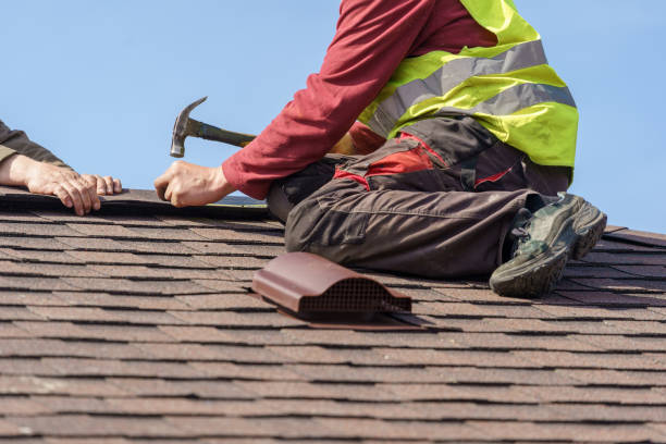 Best Roof Gutter Cleaning  in Leesville, LA