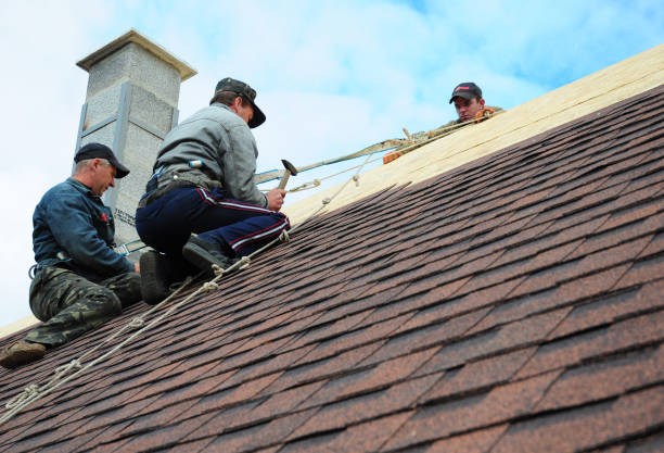 Best Shingle Roofing Installation  in Leesville, LA